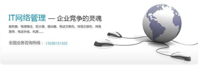 IT网络管理-企业竞争的灵魂